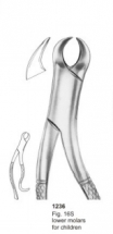  Fig. 16S lower molars for children